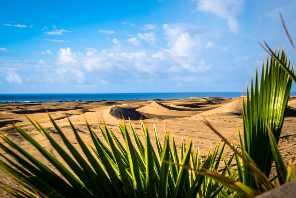 Die Dünen von Maspalomas