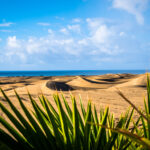 Die Dünen von Maspalomas